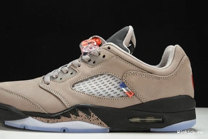 Jordan Low “PSG” Air 5 1202